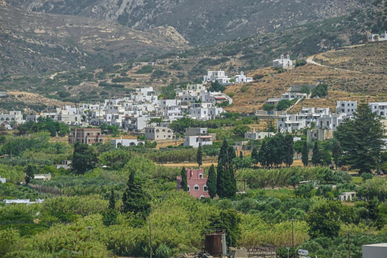 Vila Evdion Galini Exteriér fotografie